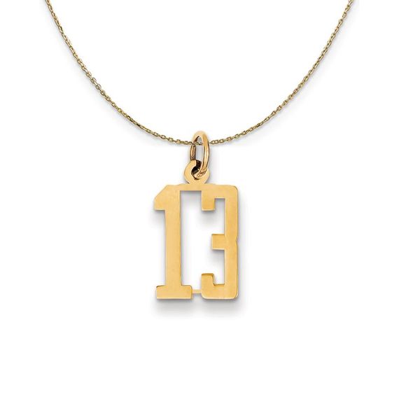 14k Yellow Gold, Alumni Small Elongated Number 13 Necklace...